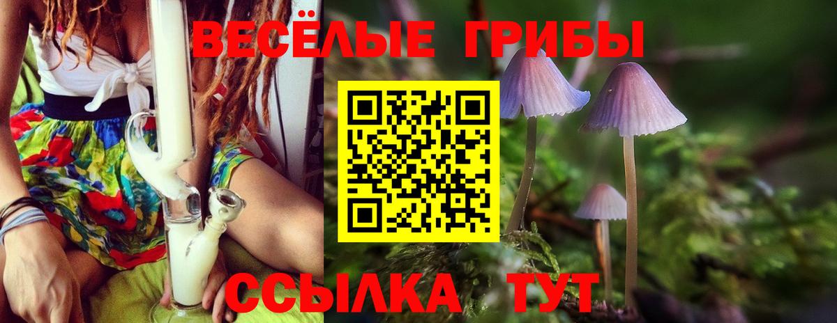 где можно купить наркотик  Галлюциногенные грибы Psilocybe  Галлюциногенные грибы ЛСД  Вход с VPN  Серов 